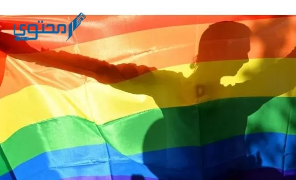 ألوان علم المثليين