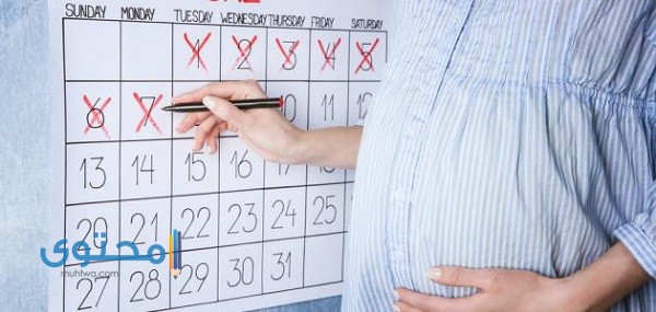 حاسبة الحمل بالهجري وزارة الصحة