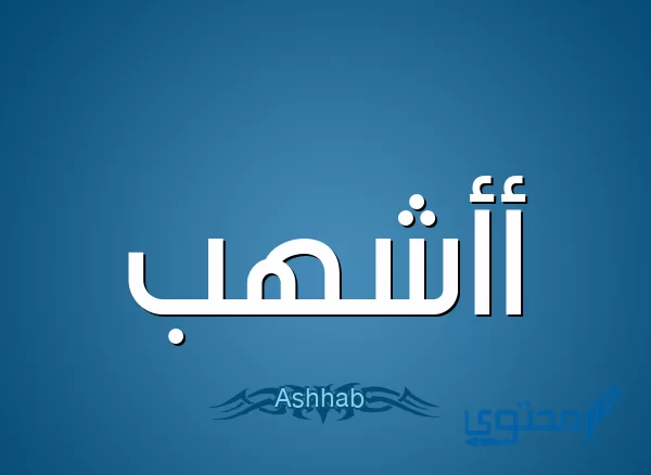 معنى اسم أشهب Ashhab