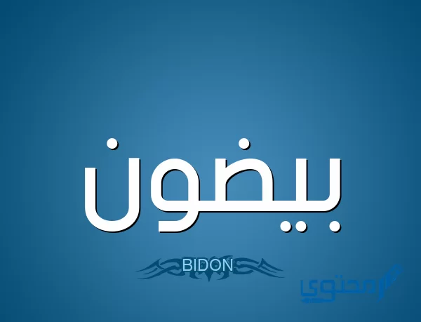 معنى اسم بيضون