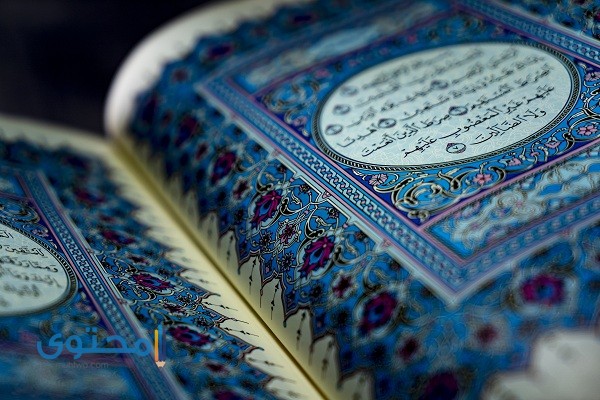 آيات قرآنية تساعد على الحفظ وعدم النسيان