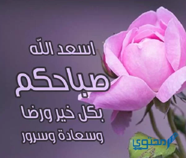 أسعد الله صباحكم بكل خير ورضا وسعادة وسرور