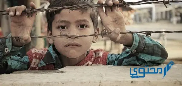 مُقدمة موضوع اليتيم