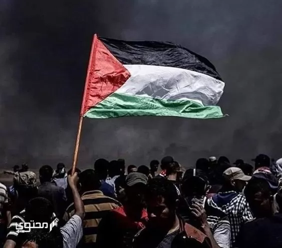 أجمل صور علم فلسطين 2024 خلفيات العلم الفلسطيني.. تُعبر عن صمودها ورفع رايتها بين الدول