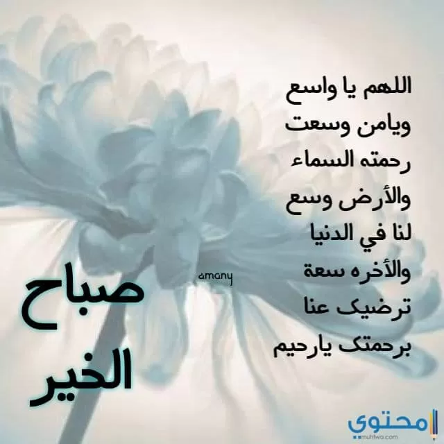 صور صباح الخير للواتس