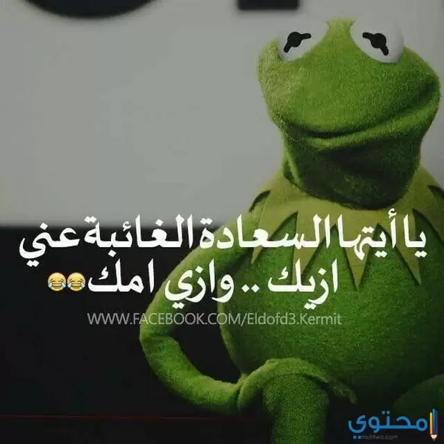 الضفدع كيرميت