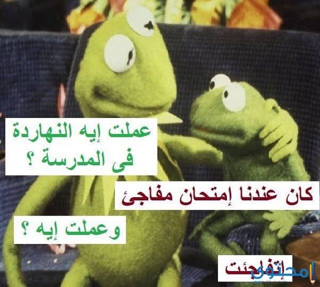 اجمل صور الضفدع كيرميت 1441 موقع محتوى