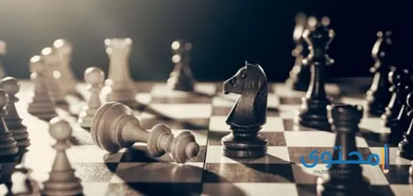 ألعب شطرنج مع الكمبيوتر