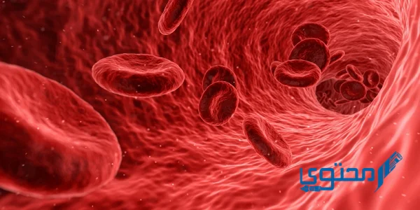 كم عدد خلايا الحمراء التي ينتجها الجسم في اليوم الواحد