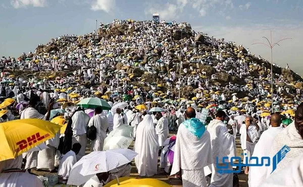 فضل يوم عرفة للحاج وغير الحاج 