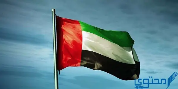تم رفع علم الاتحاد بقصر الجميرا في إمارة