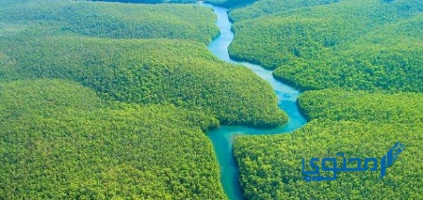 أين تقع غابات الأمازون 