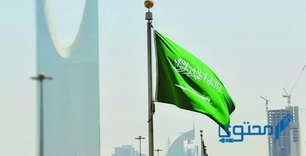 شروط الاستثمار في السعودية للمقيمين 