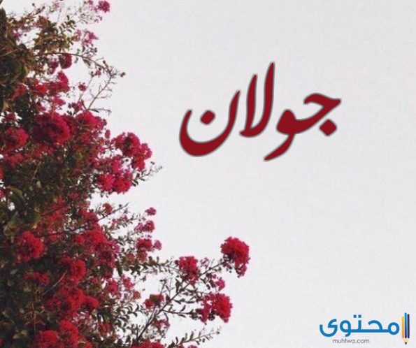 معنى اسم جولان بالتفصيل موقع محتوى