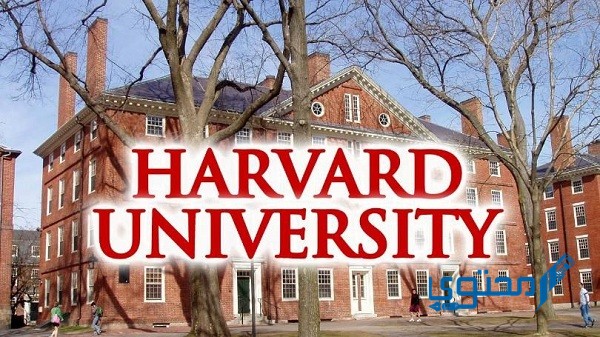 تخصصات جامعة هارفارد 