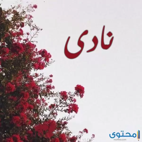 معنى اسم نادي