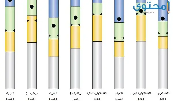  مؤهلات ESO للسنة الثانية