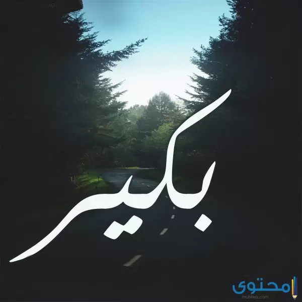 معنى اسم بكير