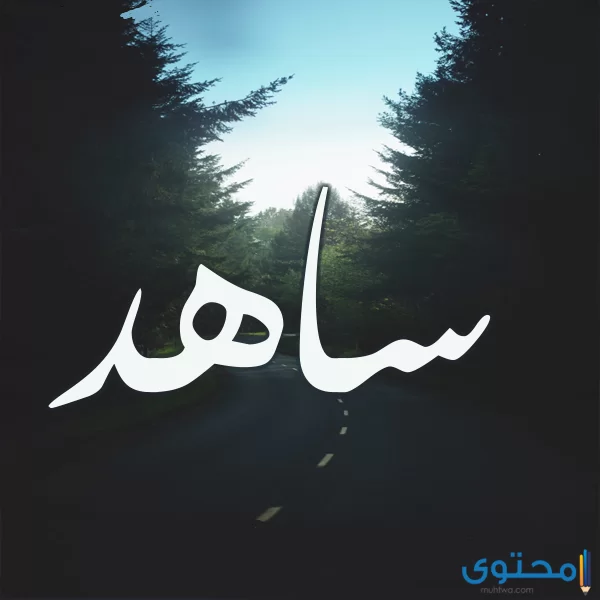 معنى اسم ساهد