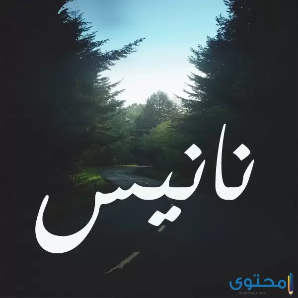 معنى اسم نانيس