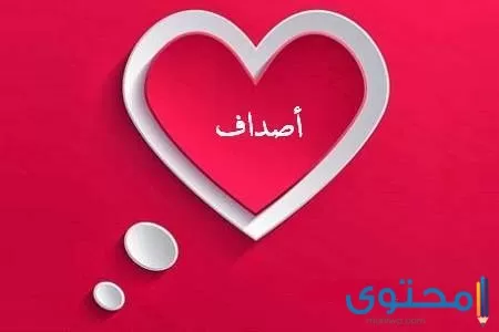 معنى اسم أصداف