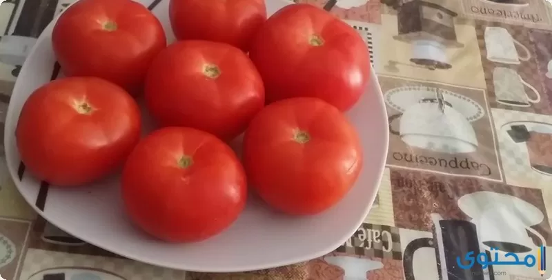 طريقة حفظ الطماطم