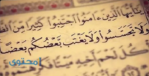 آيات قرآنية عن الأخلاق