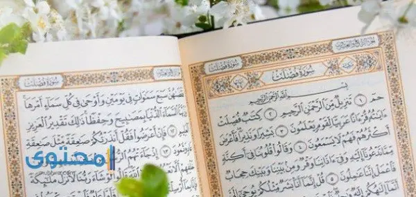 آيات قرآنية عن كلام الناس وأحاديث من السنة النبوية