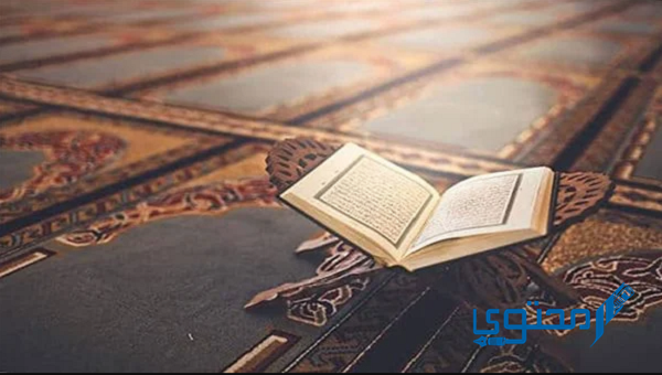 هل آخر آيتين من سورة البقرة تطرد الشياطين 1 هل آخر آيتين من سورة البقرة تطرد الشياطين؟