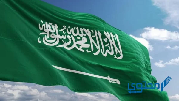 يقع وطني المملكة العربية السعودية في