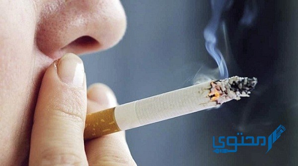 دفع مخالفات التدخين الكويت بطريقة سهلة