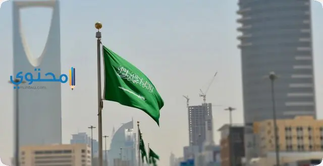 أهم 8 تفسيرات عن رؤية السفر إلى السعودية في المنام