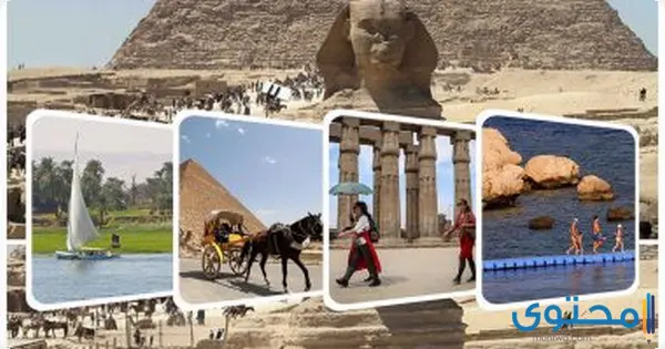 بحث السياحة في مصر
