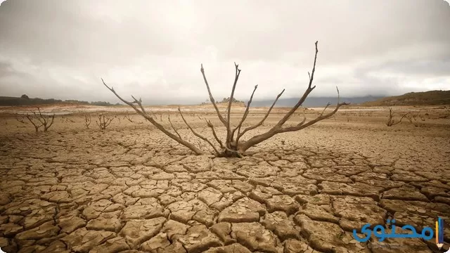 الجفاف في المنام