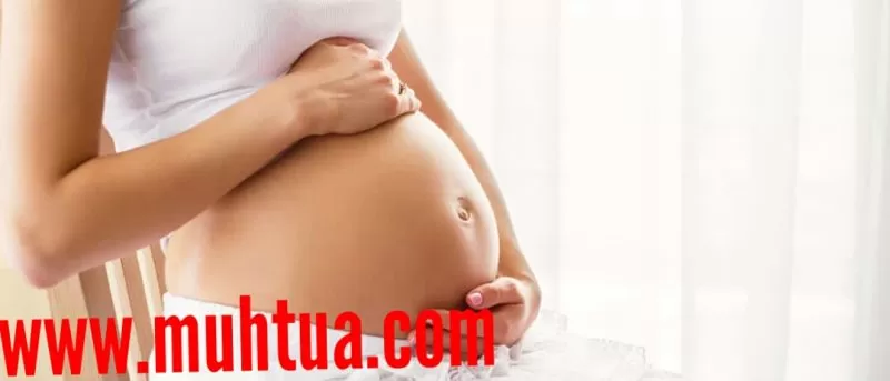 الاكلات المفيدة للحامل في الشهر الخامس
