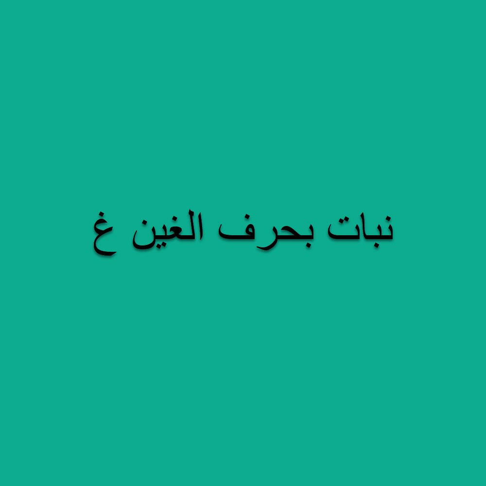 اسم المصنع بحرف G موقع المحتوى