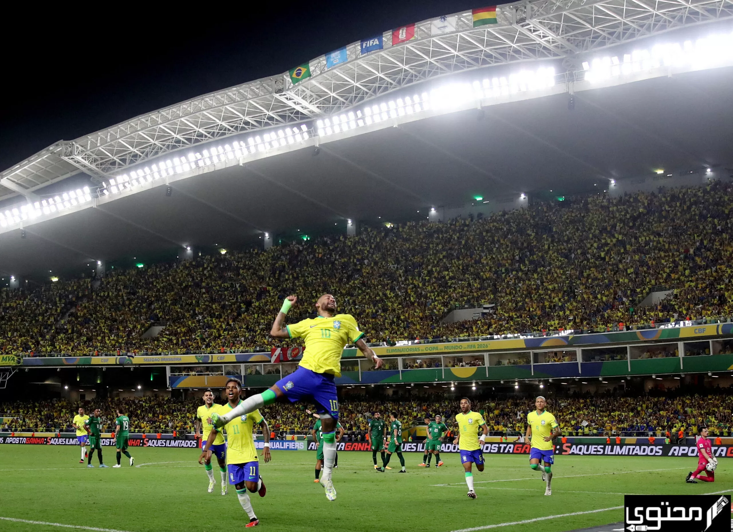 صور منتخب البرازيل بجودة عالية