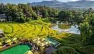 أفضل 4 فنادق شيانغ ماي تايلاند للعوائل وشهر العسل