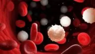 حقن دونامايسين (Daunomycin) لعلاج سرطان الدم