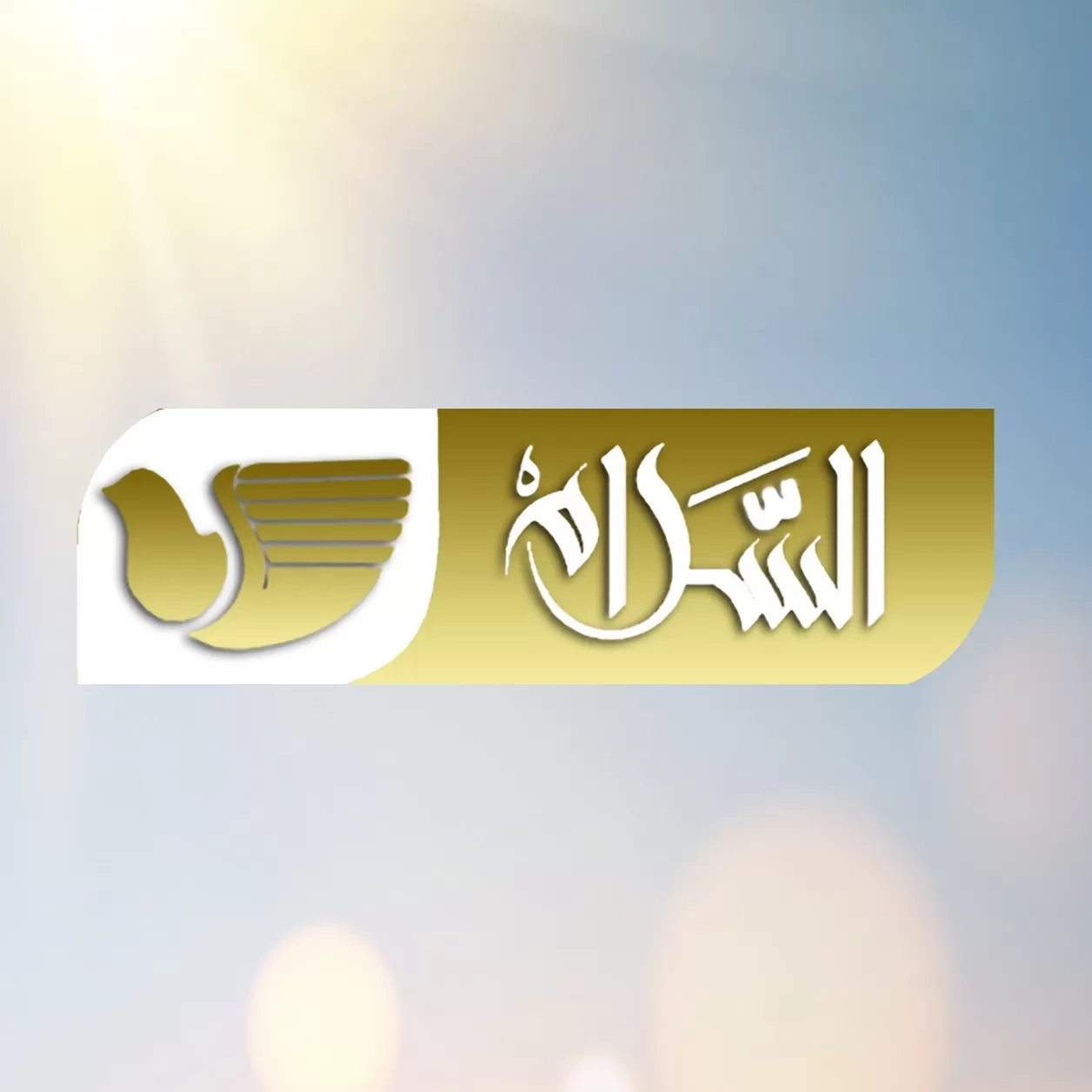 تردد قناة السلام قرآن 2024 Salam TV