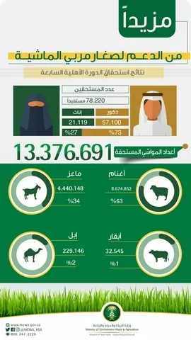 شروط دعم المواشي للنساء 