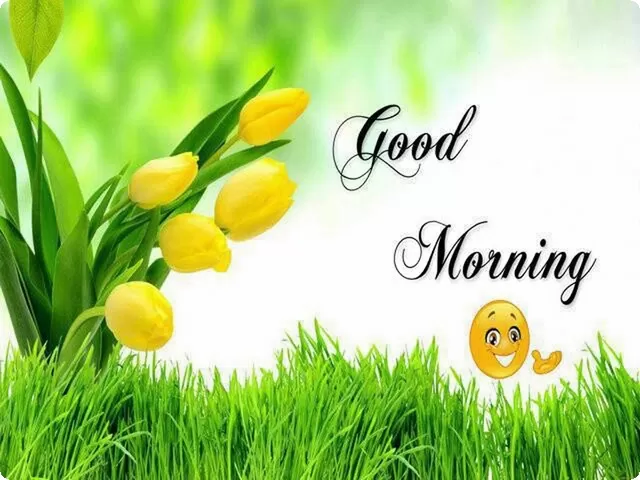 صباح الخير - أجمل صور و عبارات صباحية