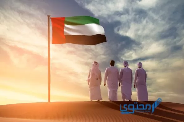 علم الإمارات في الحلم