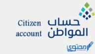 ما هو معنى حالة الدفعة تحت الإجراء للصرف في حساب المواطن ؟