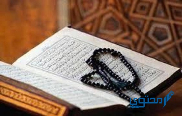 هل يجوز قراءة القرآن أثناء الحيض من المصحف