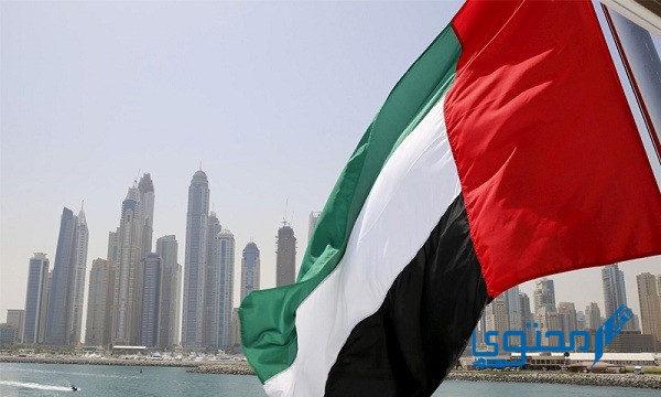 شروط الحصول على تأشيرة طالب في الإمارات