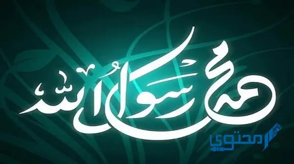 موضوع تعبير عن المولد النبوي الشريف