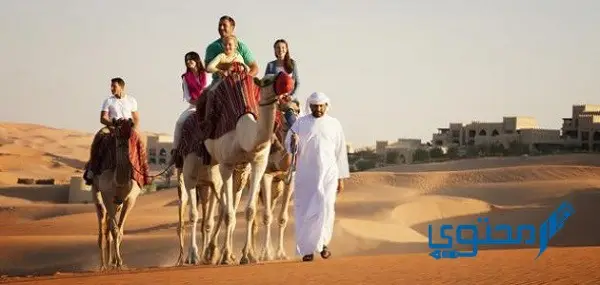 تعبير عن جمال مصر