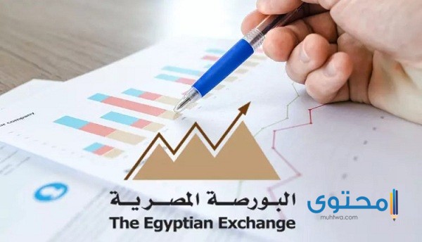 كيفية شراء الأسهم في البورصة المصرية