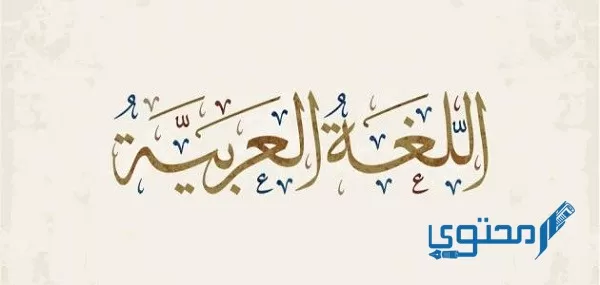 الحروف الناسخة تعمل عمل الأفعال الناسخة في المبتدأ والخبر